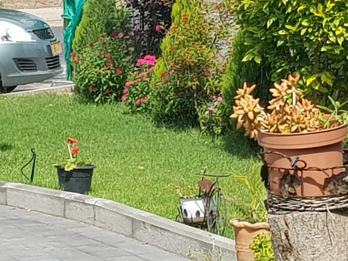 A Pastoral B & B Giv'at Ada Екстер'єр фото